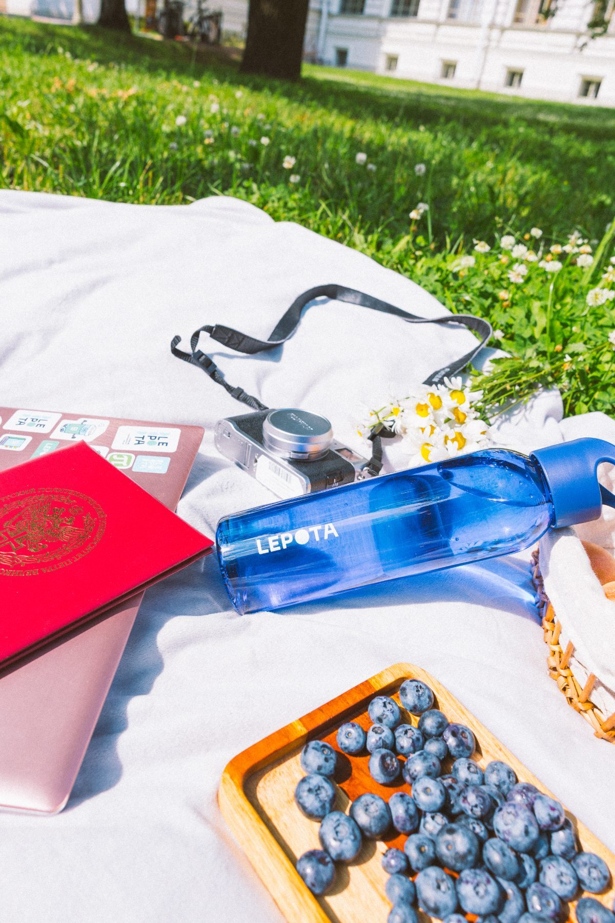 Branded blue water bottle lying on a white picnic blanket beside a camera and blueberries