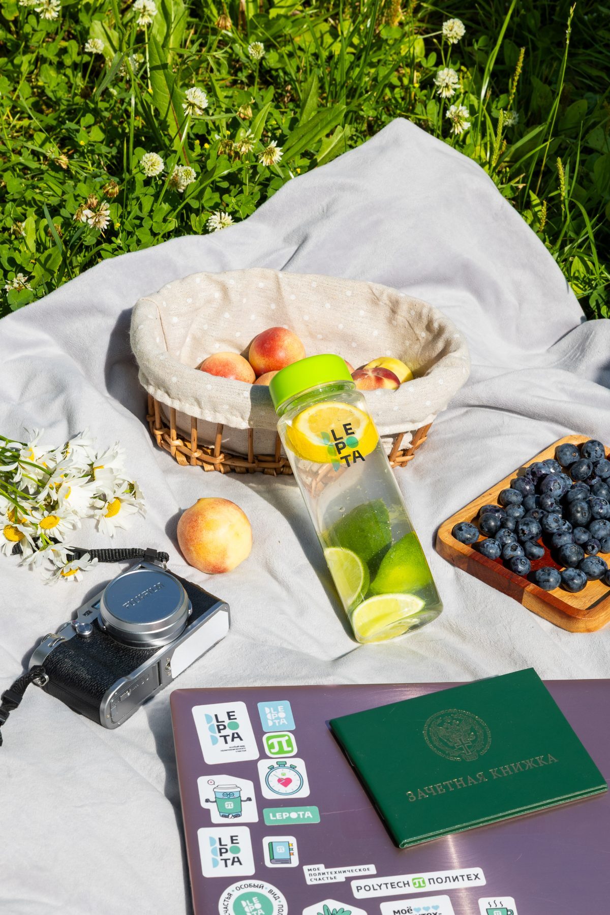 Clear branded bottle filled with lemon and lime slices, in a sunlit picnic scene