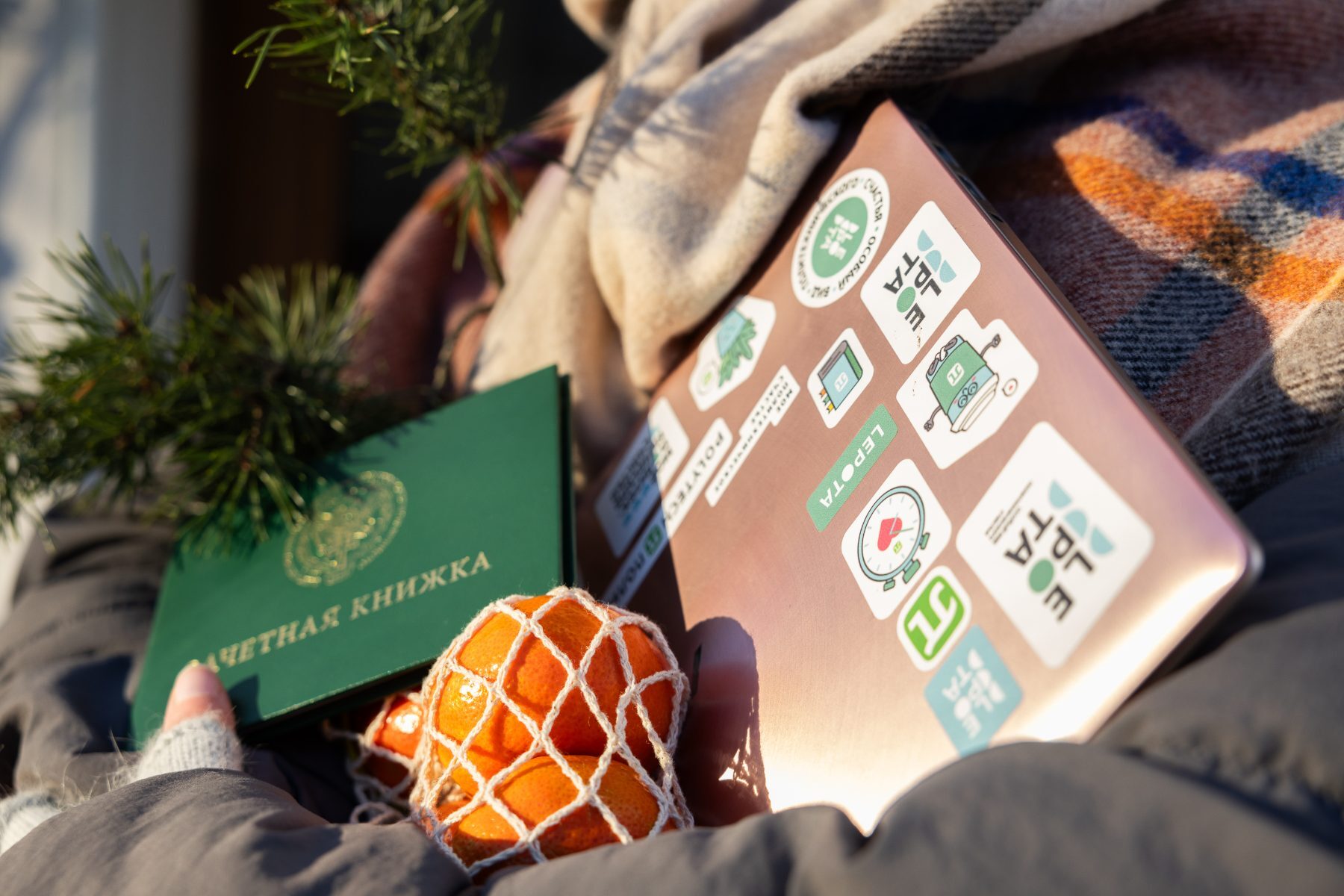Laptop lid covered in branded stickers, held with a green student record book and mandarins