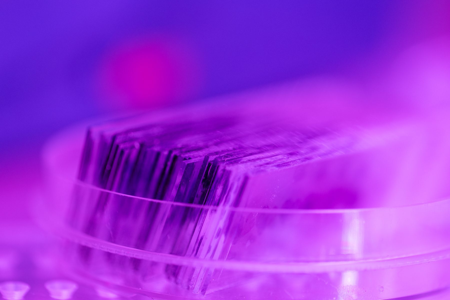 Hand pipetting into a cuvette under split red and blue lighting, rack in the background